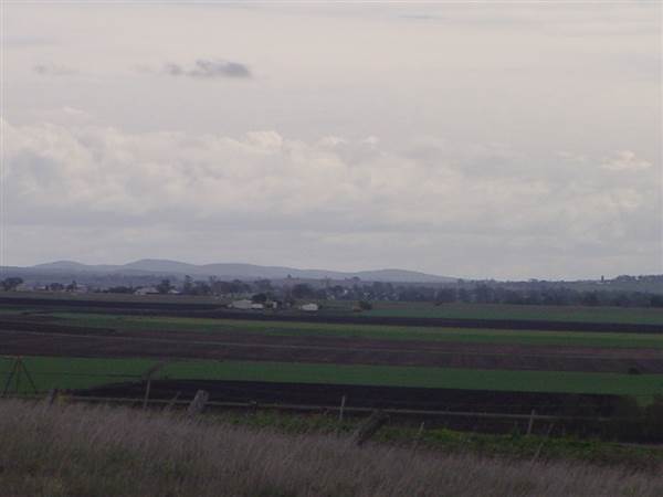 Wheat Fields (8/01/2008)