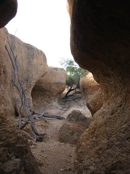 Rangelands Station (14/10/2005)