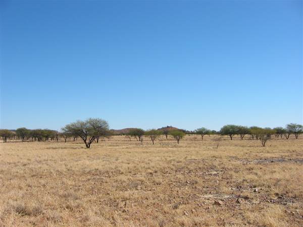 Rangelands Station (14/10/2005)