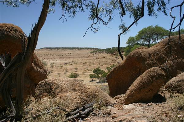 Rangelands Station (14/10/2005)