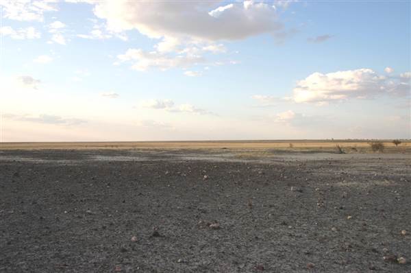 Rangelands Station (14/10/2005)
