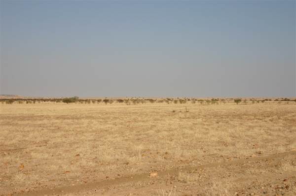 Rangelands Station (14/10/2005)