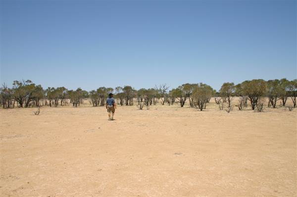 Rangelands Station (14/10/2005)