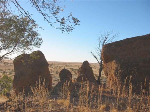 Rangelands Station (14/10/2005)
