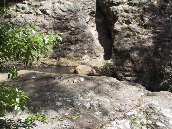 Springbrook National Park (26/09/2007)