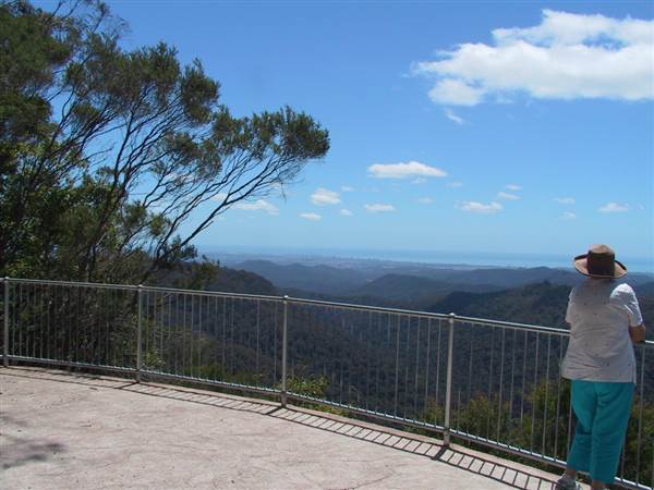 Springbrook National Park (26/09/2007)