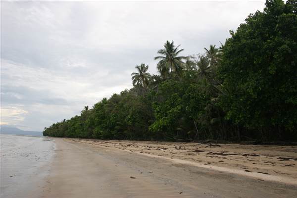 Wonga Beach (22/03/2007)