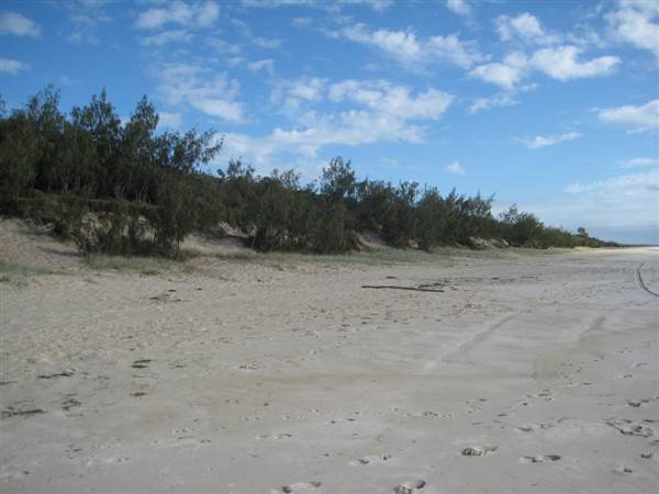 Woorim Beach - Bribie Island (18/02/2010)