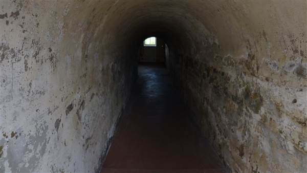 Fort Lytton National Park - General (26/11/2013)
