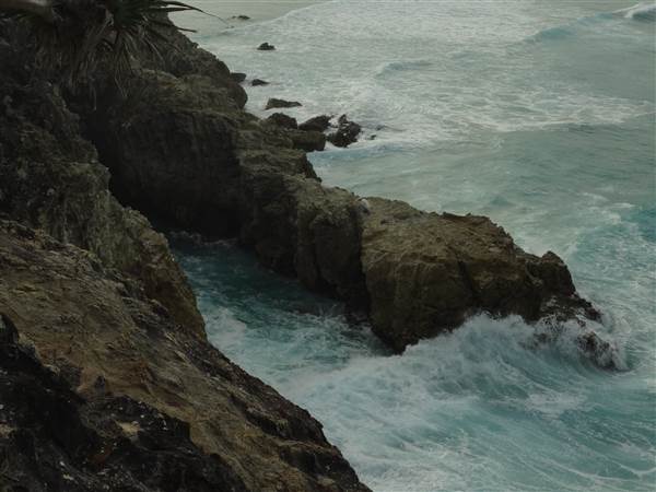 Gorge Walk, Point Lookout (3/02/2014 - Credits: Angus ledgerwood)