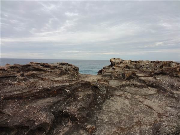 Gorge Walk, Point Lookout (3/02/2014)