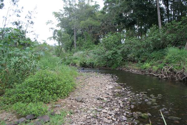 Coomera River (Upper) (21/05/2014 - Credits: Duncan Jones)