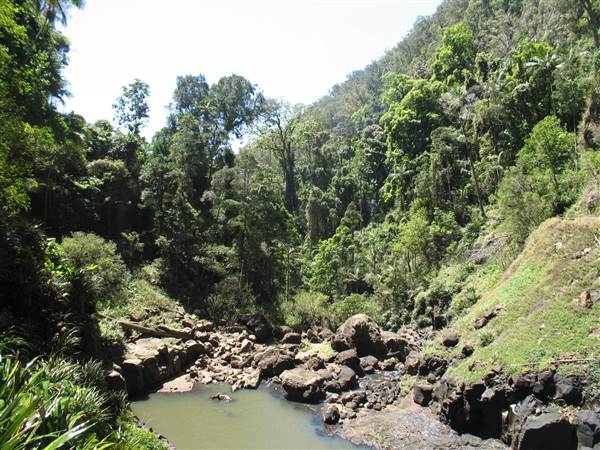Purling Brook Falls - Springbrook National Park (21/05/2014 - Credits: Duncan Jones)