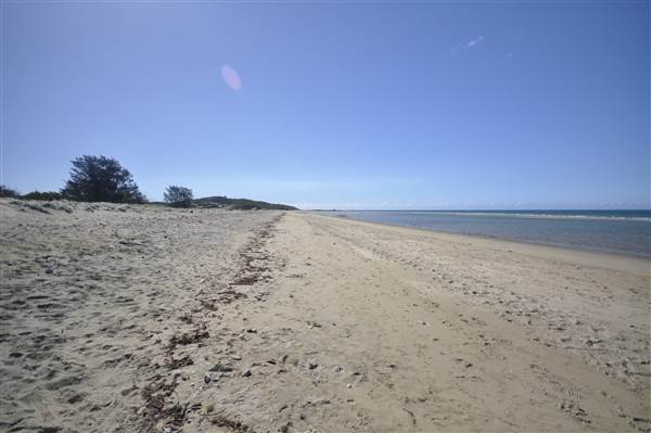 Kings Beach (Bowen) (23/07/2014 - Credits: Angus Ledgerwood)
