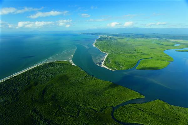 Daintree River (25/08/2014)