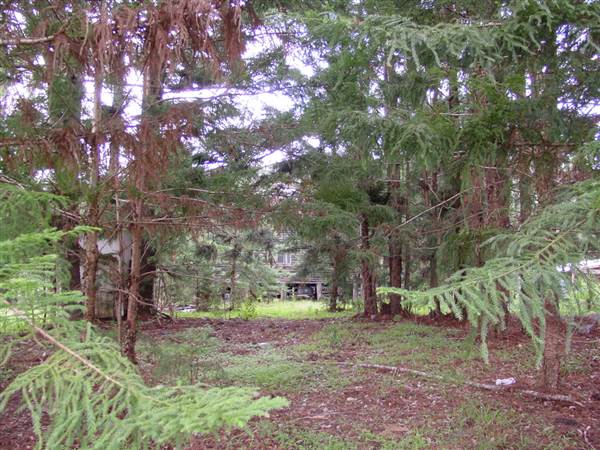 The Backlot, Bonogin - Overview (14/02/2005)