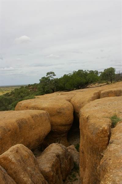 Winton Desert - General (18/11/2013)