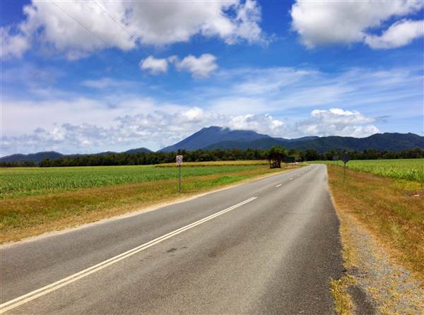 Crossroads Cafe - Daintree (19/12/2014)