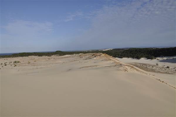 Mulgumpin (Moreton Island) - Big Sand Hills (11/04/2015 - Credits: Angus Ledgerwood)