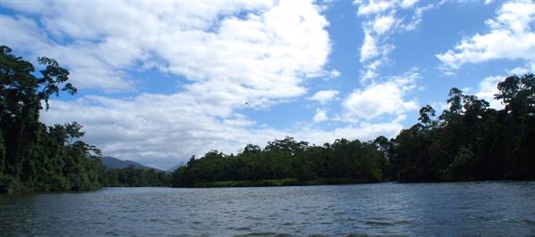 Mulgrave River (Cairns Region) (25/06/2015)