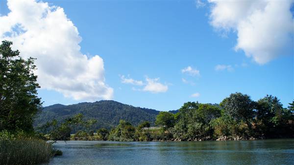 Mulgrave River (Cairns Region) (25/06/2015)