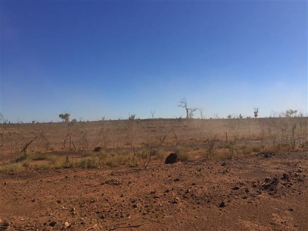 Winton-Jundah Road (24/07/2015 - Credits: Neil McGregor)