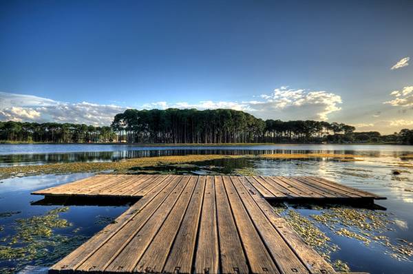 Pine Forest, Riverside Skate Park & Open Sports Fields - Pizzey Park