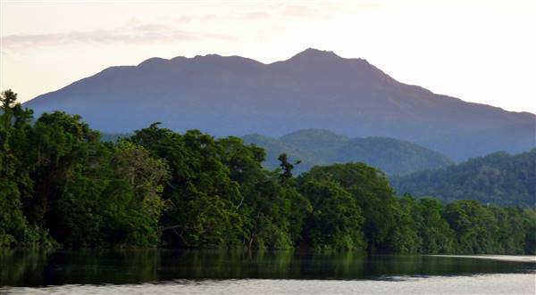 Daintree River (16/11/2015)