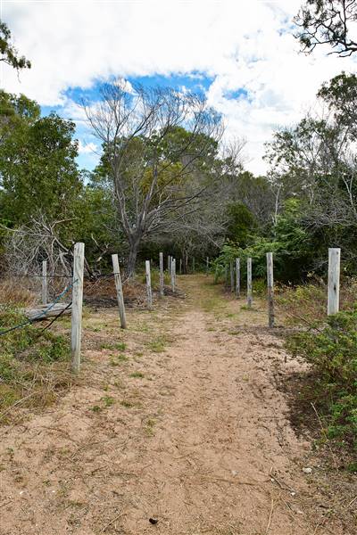 Townsville Region - Toomulla Beach (25/11/2016 - Credits: John De Rooy)
