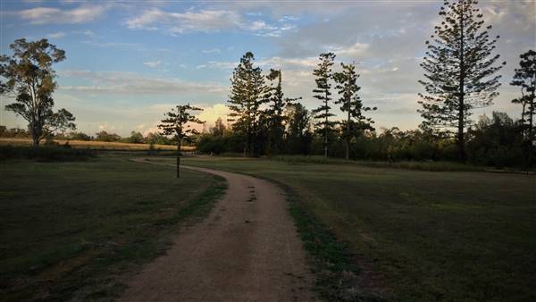 The Secret Forest - Oxley Creek Common
