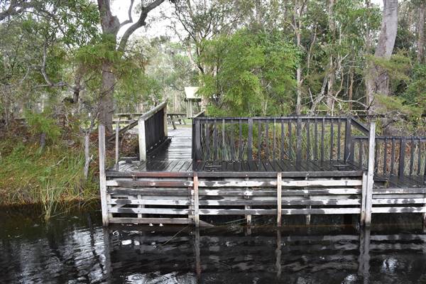 Harrys Hut Area (Noosa Everglades) (7/07/2017 - Credits: Kathryn Metcalfe)