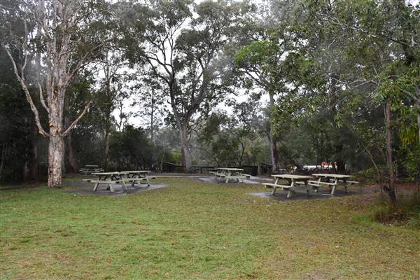 Harrys Hut Area (Noosa Everglades) (7/07/2017 - Credits: Kathryn Metcalfe)