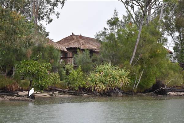 Noosa Everglades - Makepeace Island (13/07/2017 - Credits: Kathryn Metcalfe)