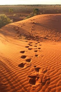 Windorah (7/07/2018 - Credits: unknown)