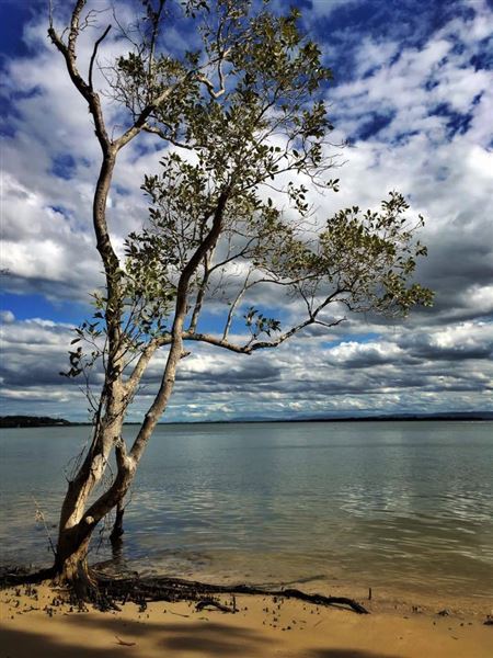 Karragarra Island (26/07/2018 - Credits: unknown)