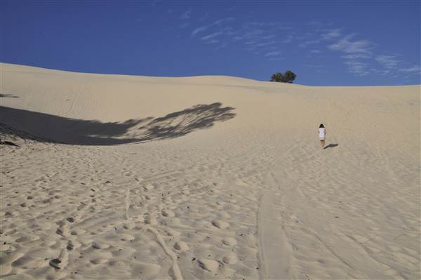 Mulgumpin (Moreton Island) - Big Sand Hills (11/04/2015 - Credits: Angus Ledgerwood)
