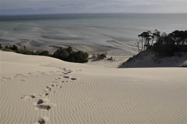 Mulgumpin (Moreton Island) - Big Sand Hills (11/04/2015 - Credits: Angus Ledgerwood)