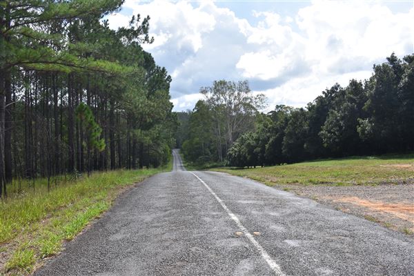 Marshs Road - Mt Tibrogargan (b/g) (15/03/2019 - Credits: Kathryn Metcalfe)