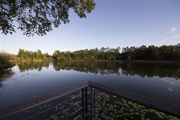 Spring Lake Park (11/05/2020 - Credits: Ipswich City Council)