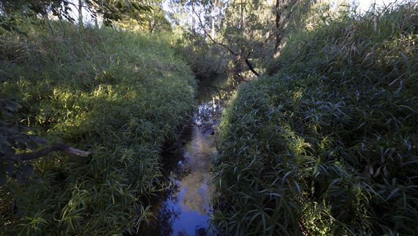 Jack Barkley Park (26/05/2020 - Credits: Ipswich City Council)