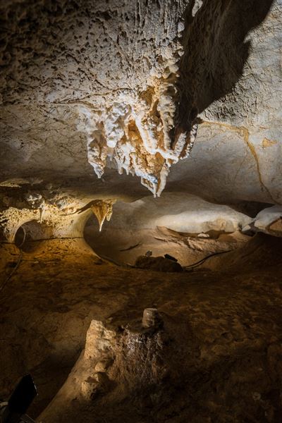 Capricorn Caves (1/07/2020 - Credits: Capricorn Caves)