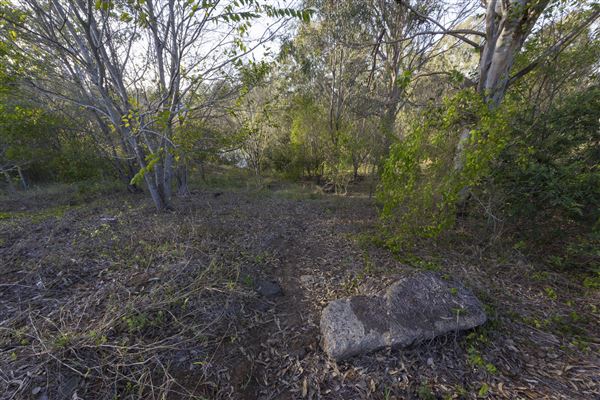 George and Eileen Hastings Sporting Complex (23/07/2020 - Credits: Ipswich City Council)