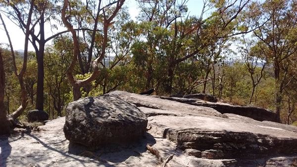 Karawatha Forest Park - Overview - Image Sourced - Do Not Make Public (10/12/2020)