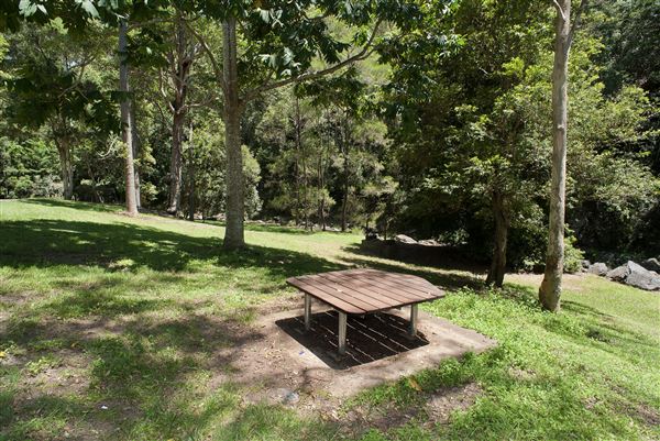 Mt Coot-tha Forest - Overview - Image Sourced - Do Not Make Public (14/12/2020)