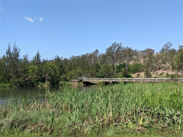 Parkland on the River - Colleges Crossing Recreation Reserve (20/09/2021 - Credits: Kathryn Metcalfe)