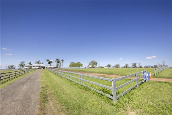 Summer Land Camel Farm (20/10/2021 - Credits: Ipswich City Council)