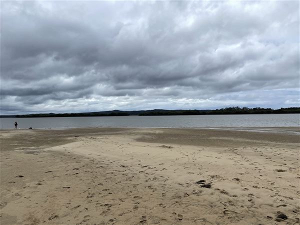 Cabbage Tree Point (6/10/2022 - Credits: Dugald McMasters)