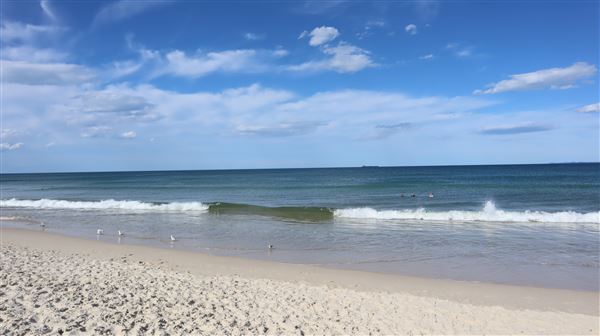Woorim Beach - Bribie Island (16/11/2022 - Credits: Brendan O'Sullivan)