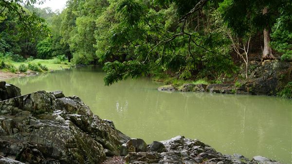 Currumbin Rock Pools (8/07/2019)