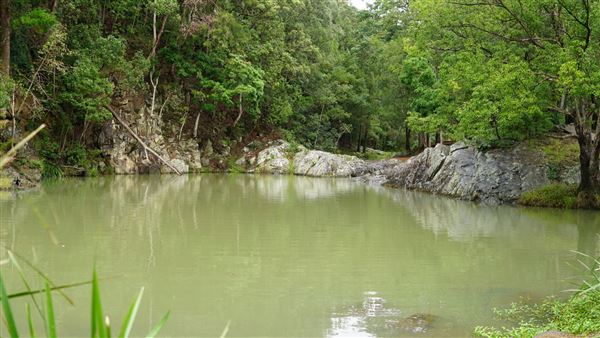 Currumbin Rock Pools (8/07/2019)